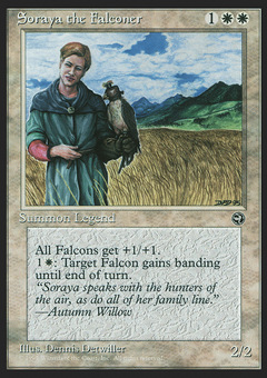 Soraya the Falconer